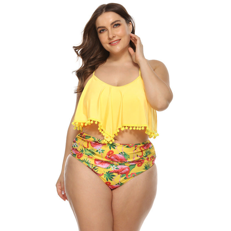 Women's Plus Size Bikini Swimwear