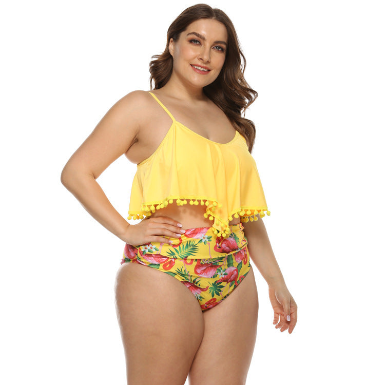 Women's Plus Size Bikini Swimwear