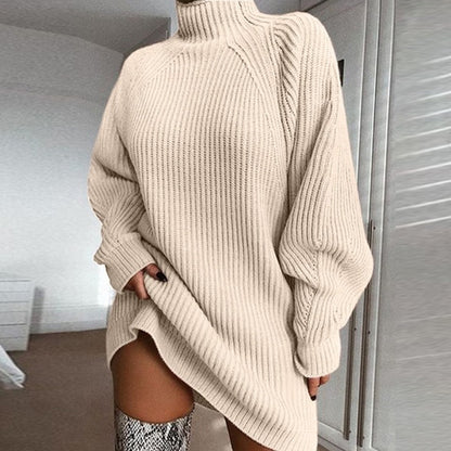 Solid Turtleneck Long Sweater Winter Warm Sweater - 16th Avenue