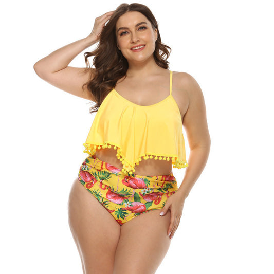 Women's Plus Size Bikini Swimwear