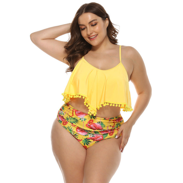Women's Plus Size Bikini Swimwear