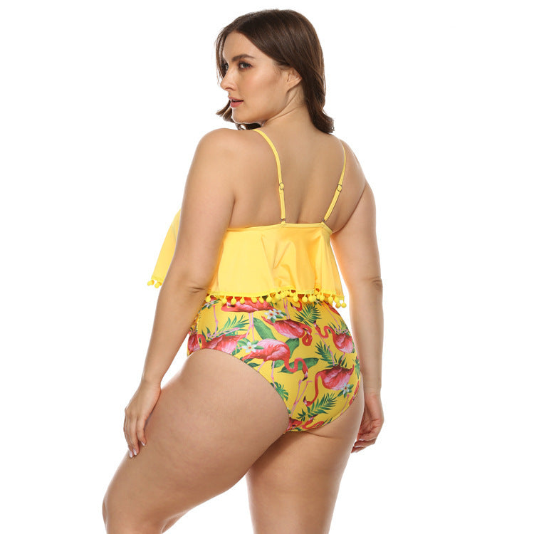 Women's Plus Size Bikini Swimwear
